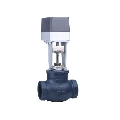 2 Way Motorized globe Valve rapidcontrols.in